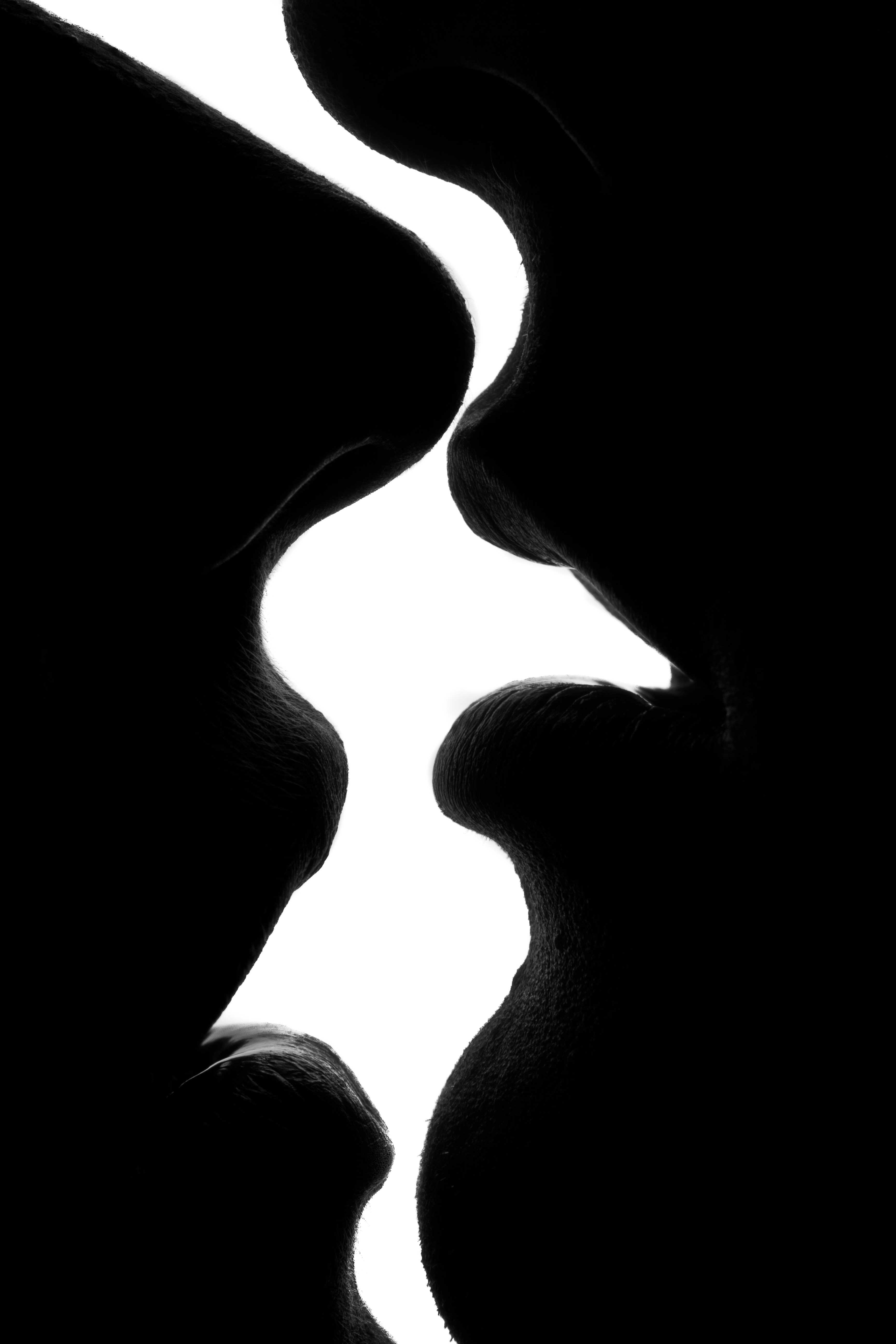 Lips silhouet