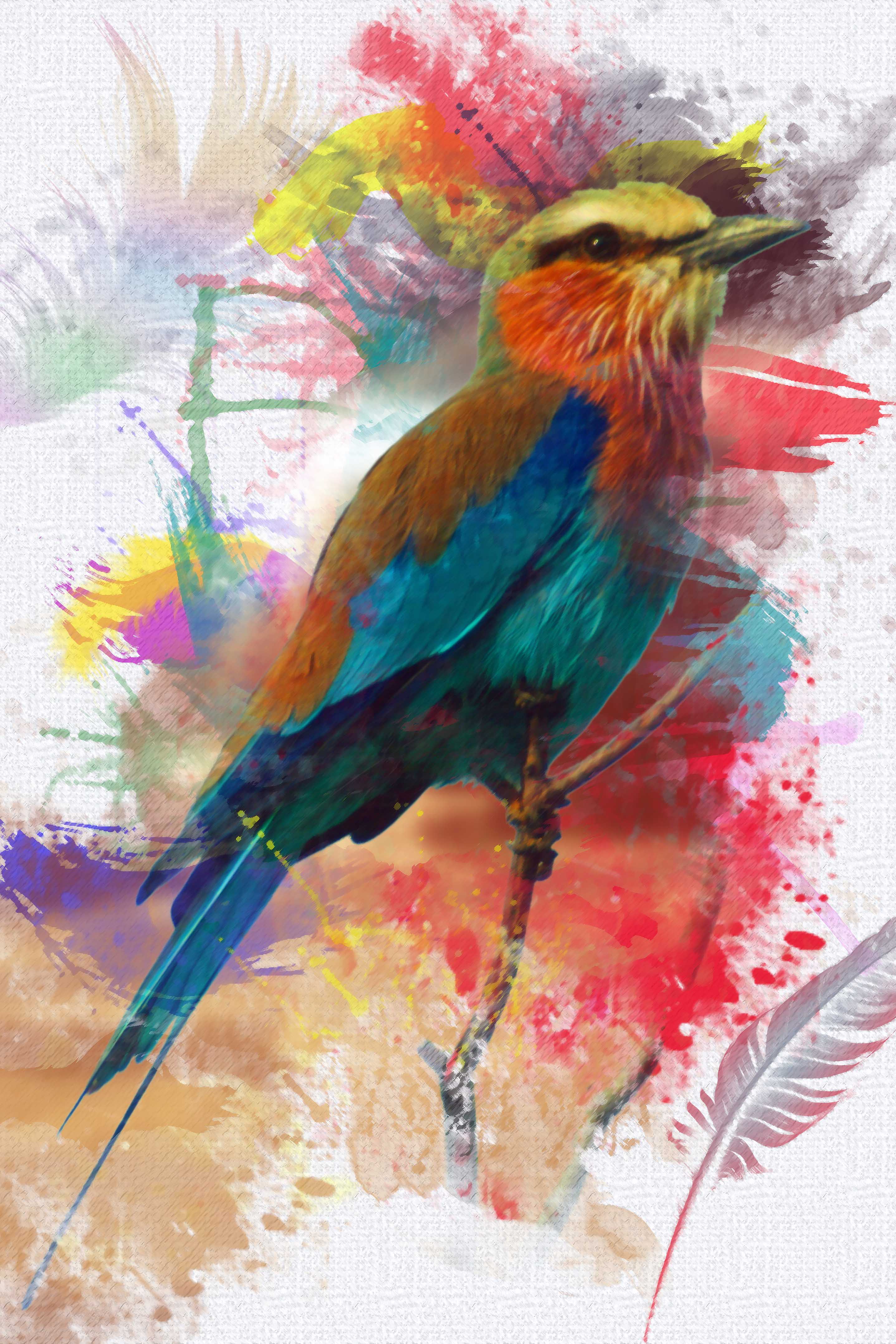 Colorfull bird