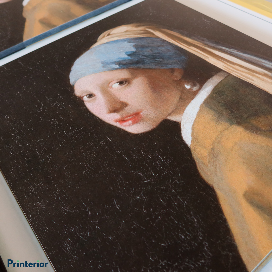 Meisje met de parel (Johannes-Vermeer)